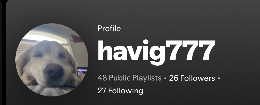 Simba, my Spotify profile photo